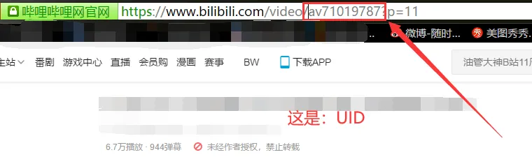 b站4K视频下载-批量下载-哔哩哔哩下载-绿色版