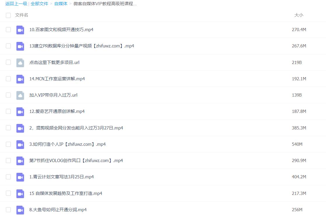 自媒体多期基础+高级VIP教程+抖音小程序玩法（月入20000+）+专场特性