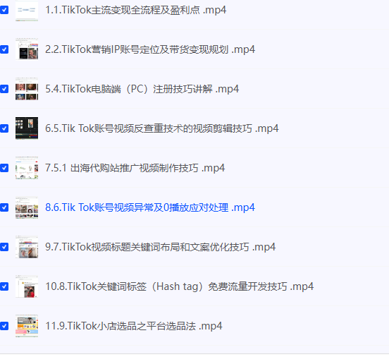 【百聚汇】TikTok跨境短视频零基础到精通网赚变现课